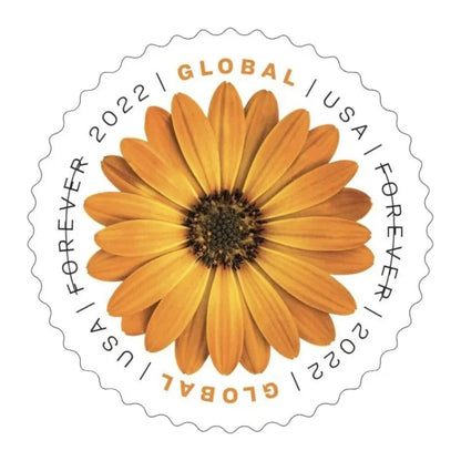 Global Forever Stamps 2022 African Daisy – International Rate