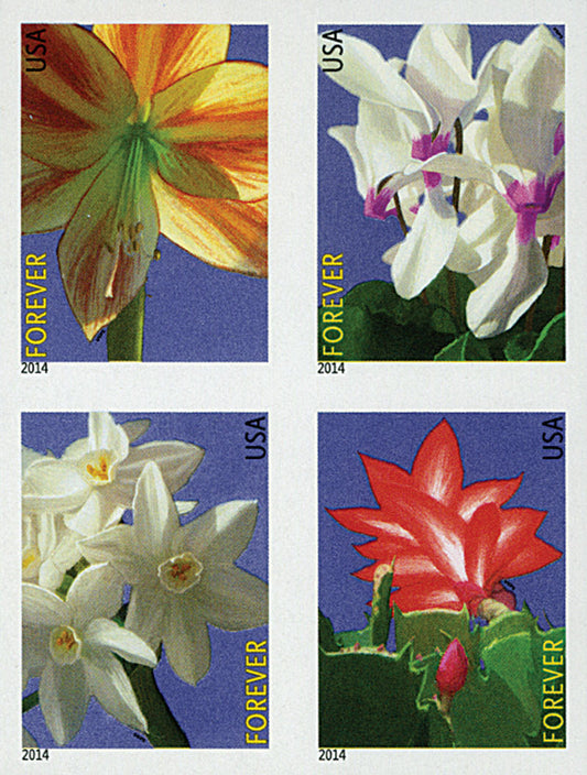 Forever Stamps 2014 Winter Flowers – Seasonal Blooms, First-Class Postage