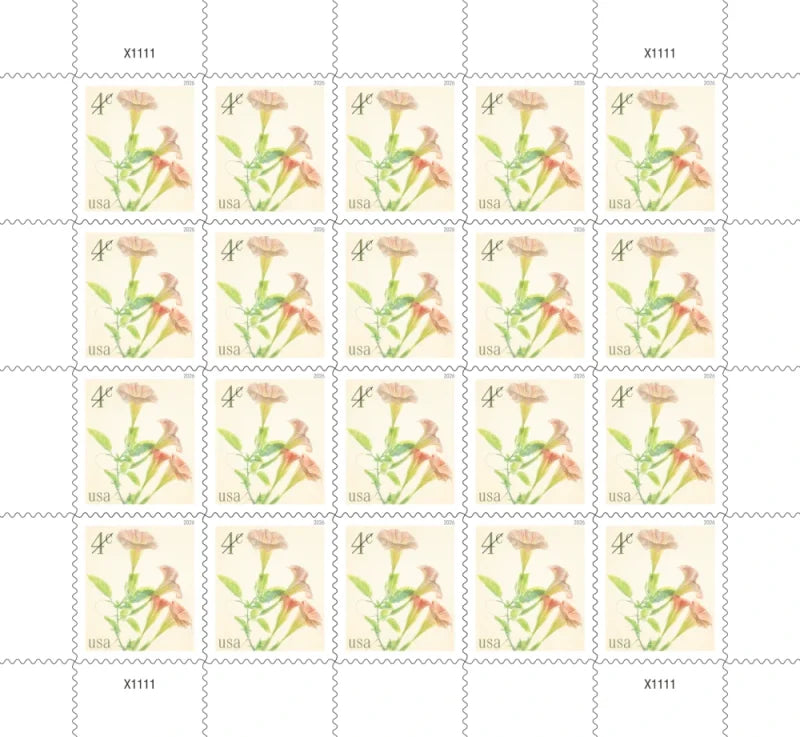 NOT Forever Stamp-First-Class Stamps 2026 Angel’s Trumpets – Nature Series, 4¢ Postage