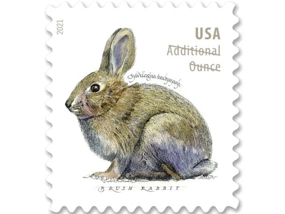NOT Forever Stamp-Additional Ounce Forever Stamps 2021 Brush Rabbit – Nature Series, Postage