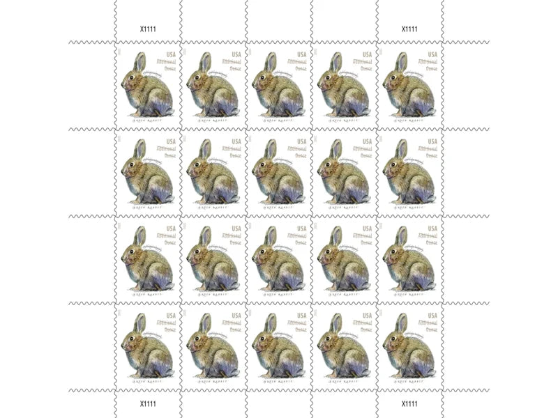 NOT Forever Stamp-Additional Ounce Forever Stamps 2021 Brush Rabbit – Nature Series, Postage