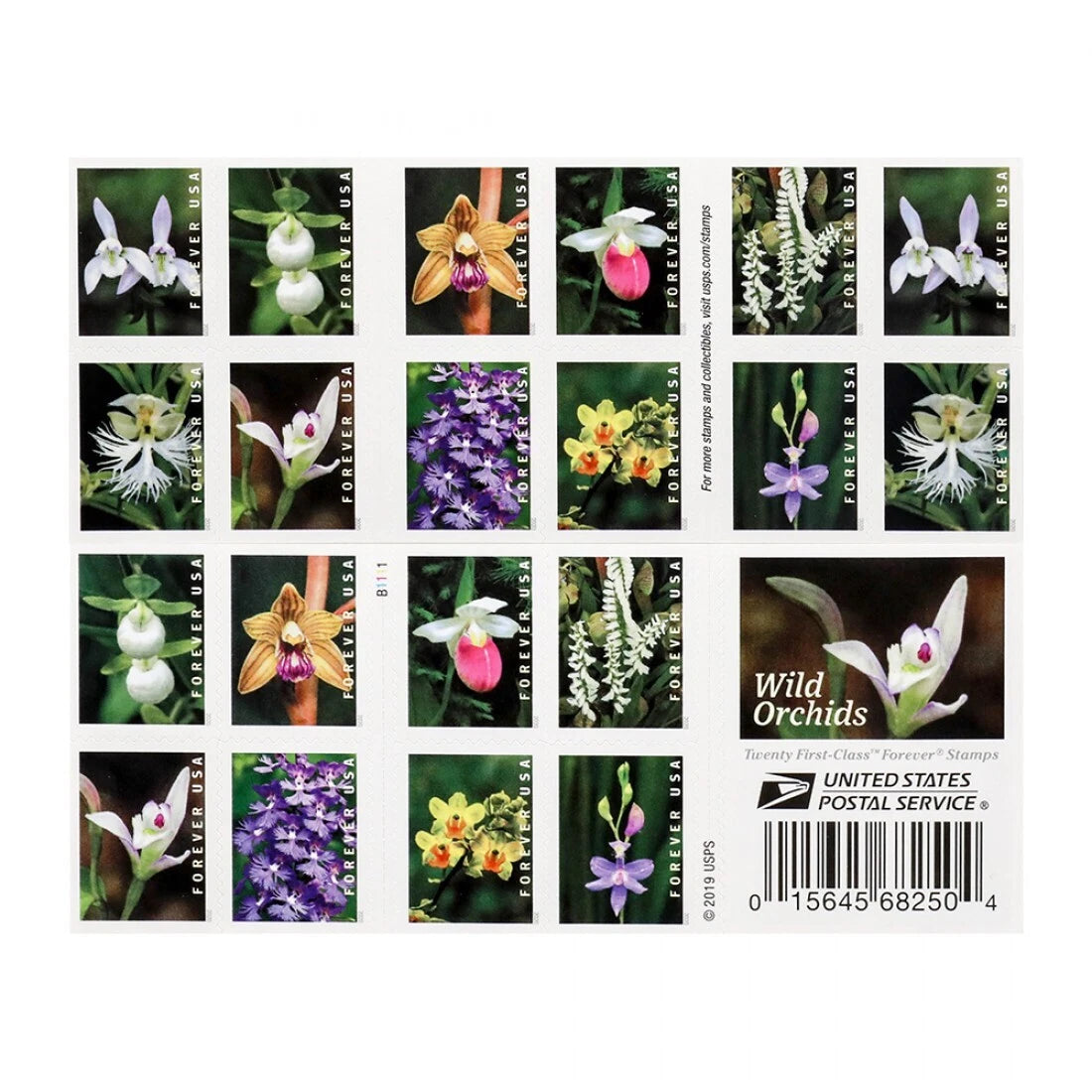 Forever Stamps 2020 Wild Orchids – Nature Series, First-Class Postage
