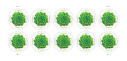 Global Forever Stamps 2017 Green Succulent – Nature Series, International Postage